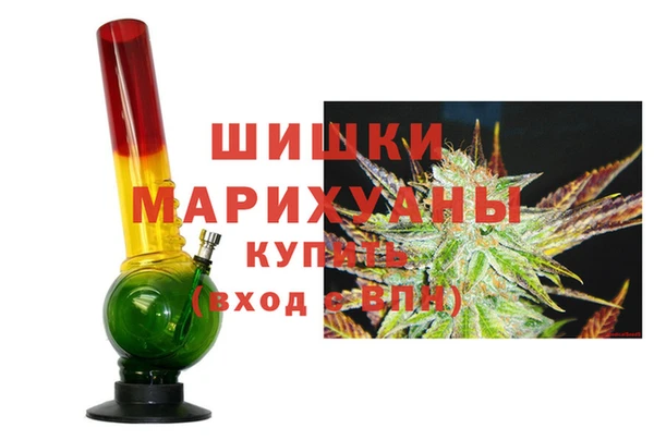 индика Горно-Алтайск