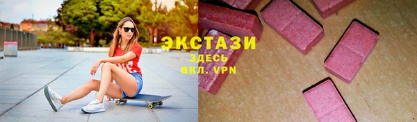 индика Горно-Алтайск