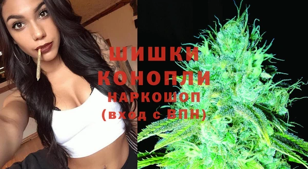 молекула духа Горнозаводск