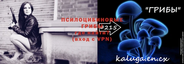 индика Горно-Алтайск
