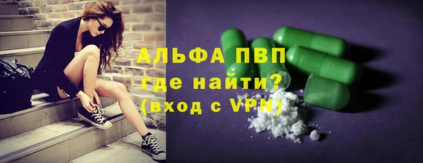 индика Горно-Алтайск