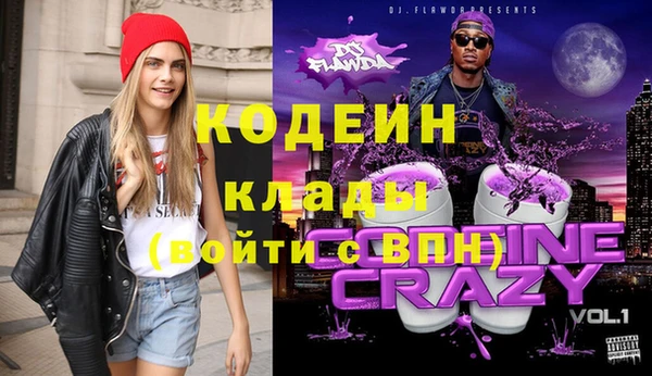 индика Горно-Алтайск