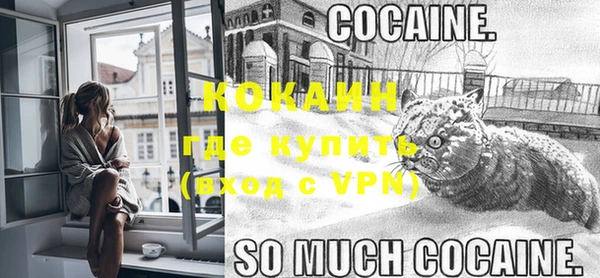 индика Горно-Алтайск