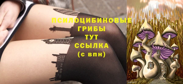 молекула духа Горнозаводск