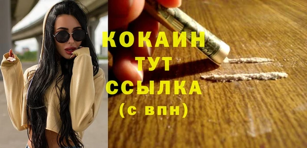 индика Горно-Алтайск