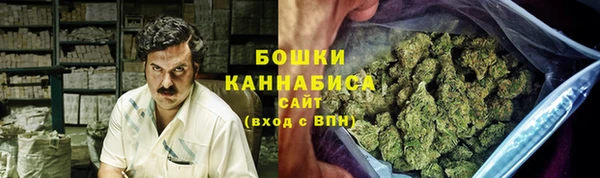 индика Горно-Алтайск
