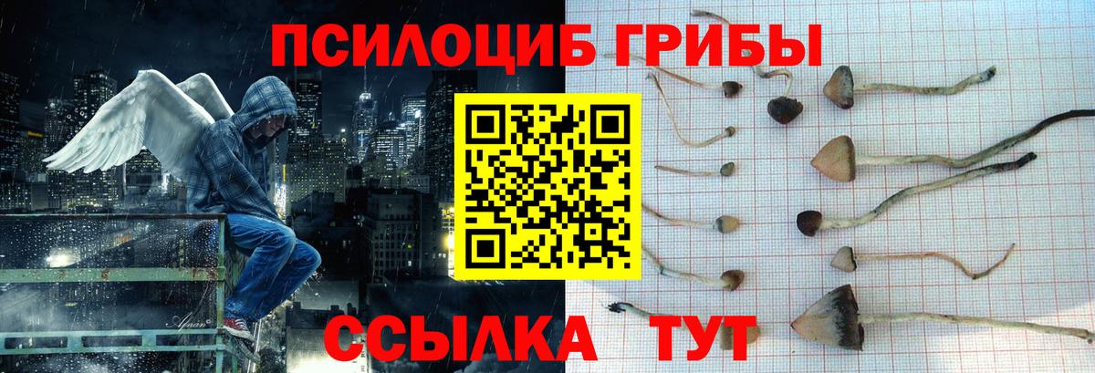 Малоярославец  Псилоцибиновые грибы MAGIC MUSHROOMS  Галлюциногенные грибы Magic Shrooms  Вход с VPN 