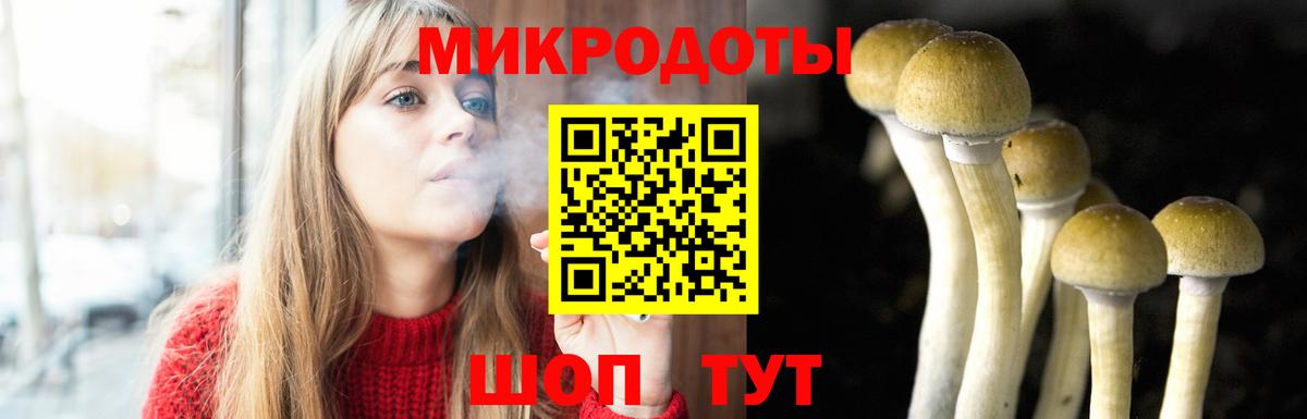 Псилоцибиновые грибы Psilocybe  Малоярославец 